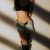 Kız Gibi Bursa Görükle'de Travesti Escort Maral - Görsel1 Kız Gibi Bursa Görükle'de Travesti Escort Maral - Görsel1